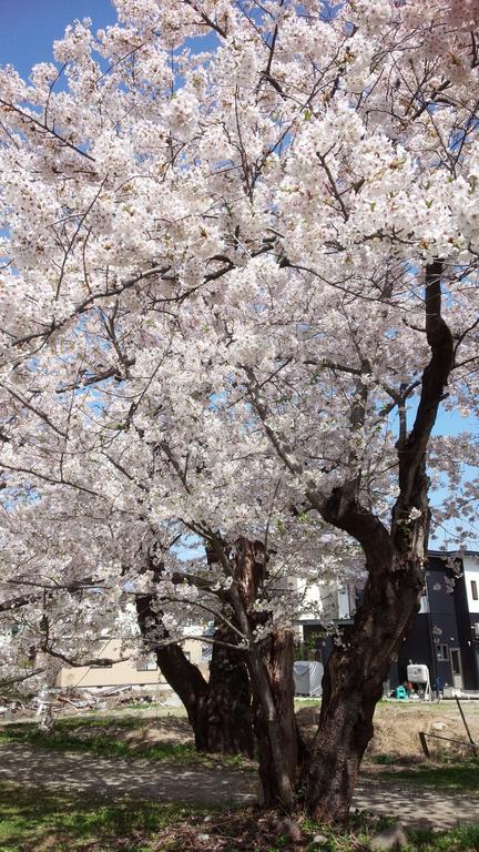Kakunodate Guesthouse Fuga Semboku Buitenkant foto